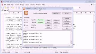 07 | Beginner PHP Tutorial 7 | The php ini File | GeekyPHP |