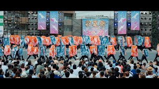 武州武蔵  『番 (つがい) ～龍虎～』 第41回 朝霞市民まつり 彩夏祭 2024 ファイナルステージ\u0026審査 マイタウン北朝霞ステージ