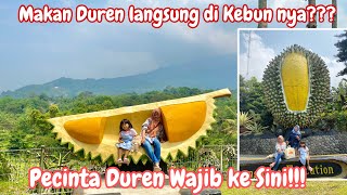 MUSIM DURIAN⁉️PECINTA DURIAN WAJIB KE SINI‼️MAKAN DURIAN LANGSUNG DARI KEBUN NYA‼️DURIAN WARSO FARM