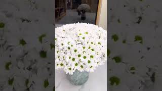 Bouquet’s of flower’s 100 pcs chrysanthemum white daisy pompon on classic vase