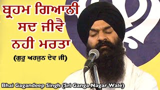 Brahm Gyani Sad Jeeve - Bhai Gagandeep Singh (Sri Ganga Nagar Wale)