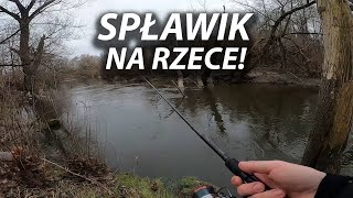 SPŁAWIK NA RZECE!