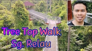 Santai Di Tree Top Walk, Sungai Relau