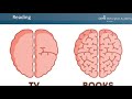 using cat4 developing cognitive function wexplain