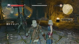 【PS4】The Witcher 3: Wild Hunt - Part 19 ・ 闇をさまよう（後編・ボス ニスラル戦）/Wandering in the Dark