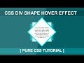 Css Div Hover Effect Tutorial - html5 Css3 Hover Effect