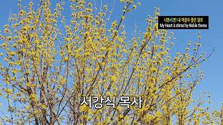 시편45편1(내 마음이 좋은 말로-My Heart is stirred by a Noble Theme),Corner Stone, 성경 말씀,서강식 목사