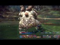 【k tera】berserker vs lv65 kumas 2hit killed