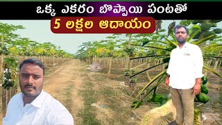 PAPAYA PLANT | ఒక ఎకరం బొప్పాయి పంట తో ఐదు లక్షల సంపాదిస్తున్న రైతు |  జామ పంట కూడా పండిస్తున్నారు