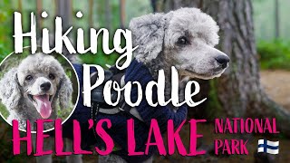 From Hell’s Gate to Hell’s Lake | Backpacking with Small Dog | Hiking Poodle