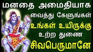 நம் உயிருக்கு துணை சிவபெருமானே | #sivapithan gobinath | #whatsapp #status in tamil speech