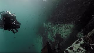 Dive with a Giant Pacific Octopus and Wolf Eel in 3D 360 | Our Blue Planet VR | BBC Earth