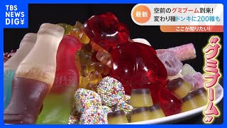 ガムよりグミ？！いま空前の大ブーム！『ほ乳瓶』に『目玉焼き』！新発売のグミを一足先に試食！｜TBS NEWS DIG