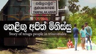 ශ්‍රීලංකාවේ තෙලිඟු වැසියෝ  | Story of Teligu people in srilanka | Duwili Ep - o4