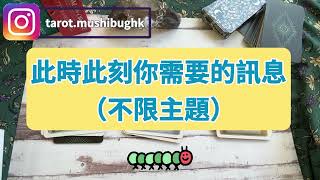 🐛呀蟲塔羅 | (雙語) 此時此刻你需要的信息🔮| Timeless #塔羅占卜 #大眾占卜 #預約諮詢 #女人心事 #廣東話 #普通話