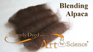 Using a Blending Board to Make Alpaca Rolags - Tutorial - Expertly Dyed