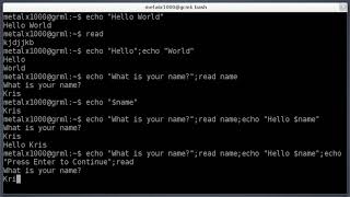 Shell Basics echo and read Linux Tutorial 1