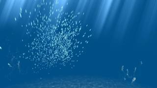 Unity | Flock & Deform Particle System