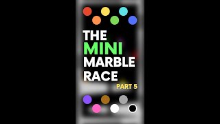 The Mini Marble Race (Part 5/11)