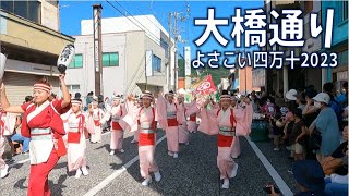 よさこい四万十2023/大橋通り/大橋通り踊り子隊/一条通商店街/70回よさこい祭り【地区競演場連合会奨励賞】/高知県