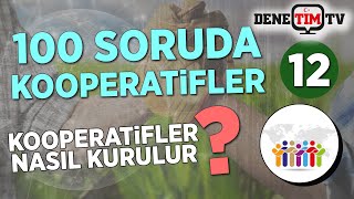 Nasıl Kooperatif Kurulur? | 100 Soruda Kooperatif