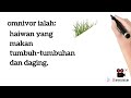 Sains Tahun 3 ( Haiwan Omnivor,Karnivor Dan Herbivor)