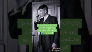 تایبەت بەچاو شینەکان چاو شینەکان هیوادارم بەدڵتان بێ کۆمێنت بکەن ها تا بزانم کێ چاو شینە