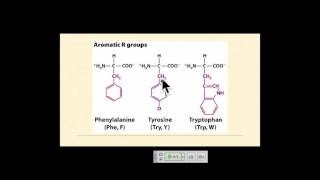 Genetics A Conceptual Approach: Chapter 15