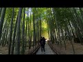 【鎌倉散歩】竹林の『報国寺』で「休耕庵」のお抹茶をいただく［4k japan］