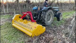 Desmenuzadora Trituradora FRUIT Extra 2 mts Orsi