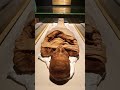 Egyptian Mummy | Egypt Museum #shorts #foryou #egypt #travel #foryoupage #travelguide #fypシ