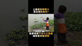 土雞蛋和檸檬汁放進泥洞裏，大魚居然接二連三竄出來，太神奇了！#shorts