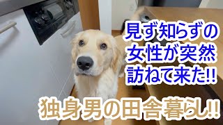 超ビックリ！知らない女性が突然訪ねて来た。ゴールデンレトリバーティト。goldenretrieverpuppy