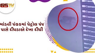 Surat : માંડવી પંથકમાં પેટ્રોલ પંપ પાસે દીપડાએ દેખા દીધી | Gstv Gujarati News