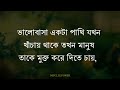 রাগ আর জেদ যাদের বেশি heart touching motivational quotes in bangla inspirational speech ukti