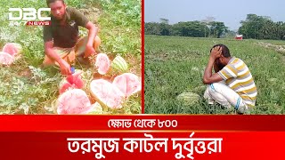 তরমুজের সাথে এ কেমন শত্রুতা! | DBC News Special