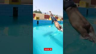 Ultimate Swimming Dive - Swimming Tutorial #learnswimming #swimming