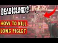 How To Kill Long Piglet HAUS Dead Island 2 DLC