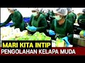 Pemotongan kelapa 5 detik, pengolahan kelapa muda dengan .teknologi modern