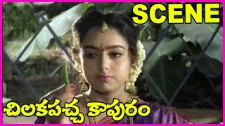 Jagapathi Babu And Soundarya Scenes | Meena | Chilaka Pacha Kapuram Movie