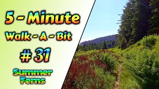 5-Minute-Walk-A-Bit - #31 - Summer Ferns - Wurmberg Trail