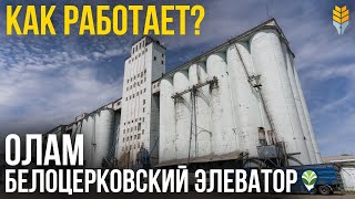 Как работает ОЛАМ Белоцерковский элеватор? | Элеваторист