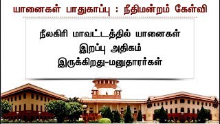 யானைகள் வழிதடங்களில் உள்ள கட்டடங்கள் குறித்து நீதிமன்றம் கேள்வி! | #Elephant #Court