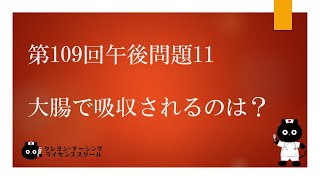 【看護国試対策】第109回 午後問題11　過去問解説講座【クレヨン・ナーシングライセンススクール】