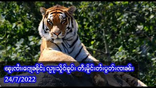 ၽူႈၸၢႆးၵေႃ့ၼိုင်ႈ ၺႃးသိူဝ်ၶူပ်း တီႈမိူင်းတႆးပွတ်းၸၢၼ်း 24/7/2022