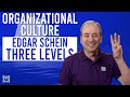 Edgar Schein's 3 Levels of Organizational Culture