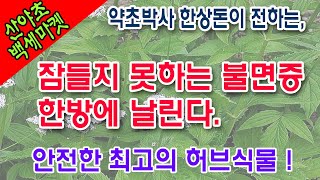 잠들지 못하는 불면증 한방에 날린다.