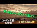 【鳳凰美田】底辺おっさんが美味しい日本酒飲みながら雑談するだけ‼️