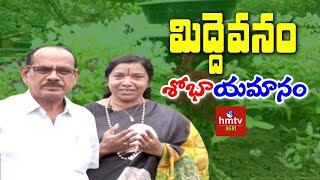 మిద్దెవనం శోభాయమానం... | Terrace Gardening by Shobha| hmtv Agri