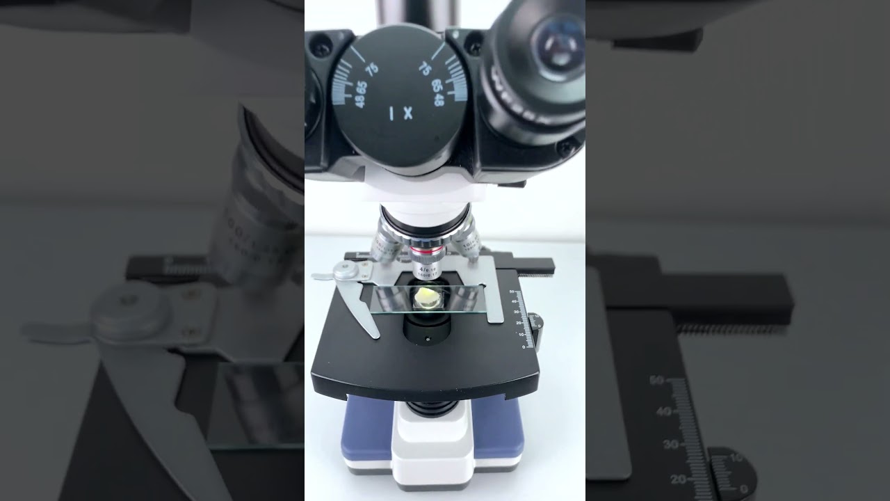 Would You Eat Banana Magnified 400x Underthemicroscope Microscope